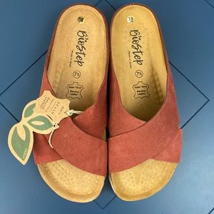 Biostep Slides - Brick color